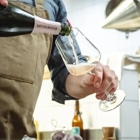 Hotel Der Steinerwirt - Hangout & Lofer